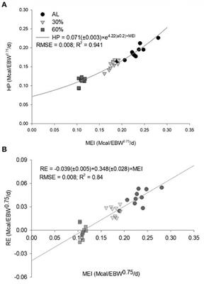 Maintenance and Growth Requirements in Male Dorper × Santa Ines Lambs